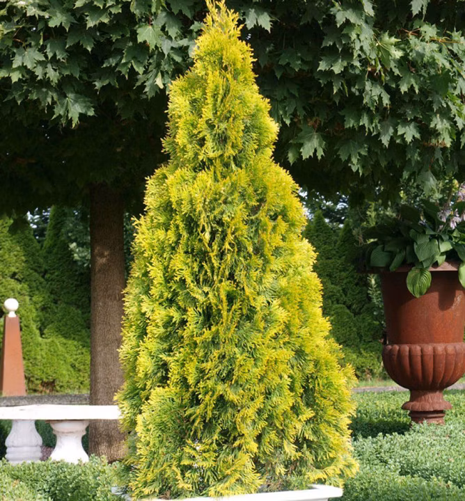 9fe409e0a7abe74becb76f089fc1c536