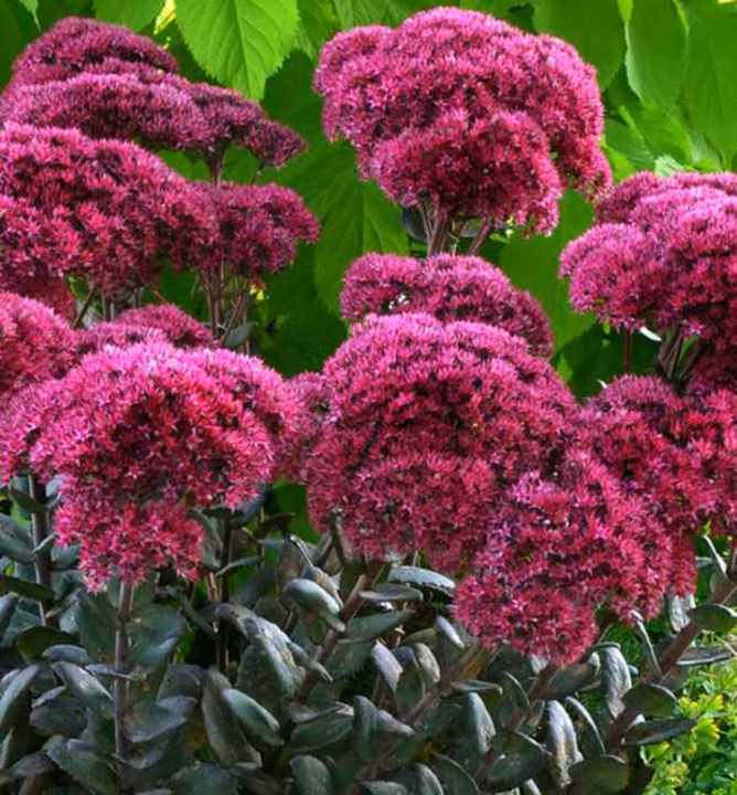 9fe8a30c9ebae99cbed7c5a1ec6c7139