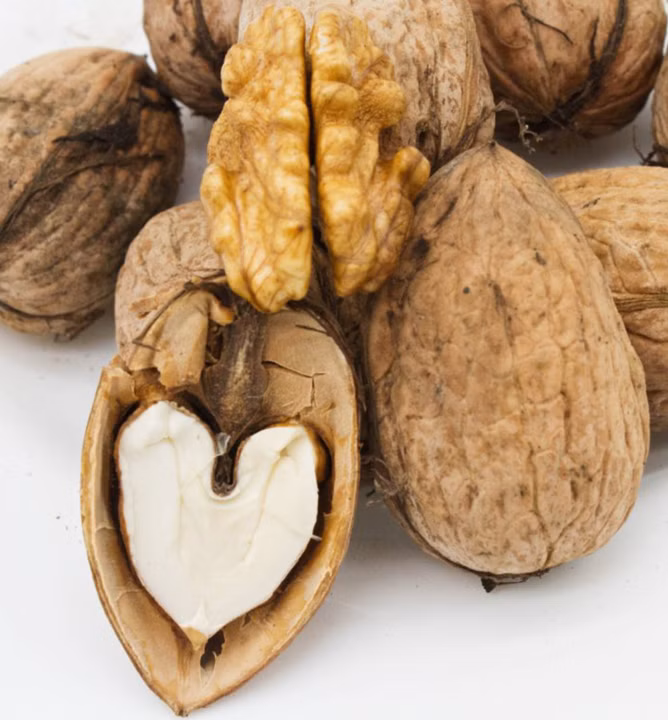 a0192c7963402265d378cb952837c79c