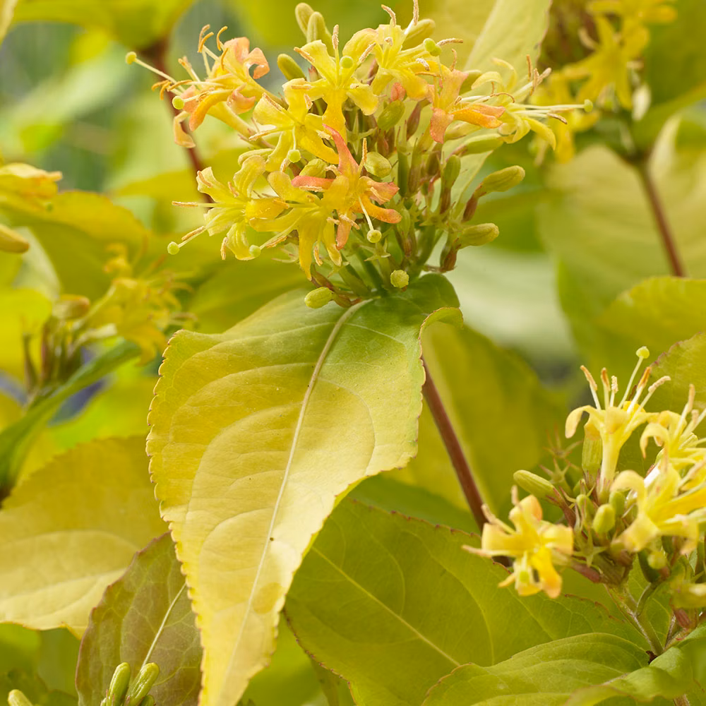 a048a94086017664000a3596ebe9d752