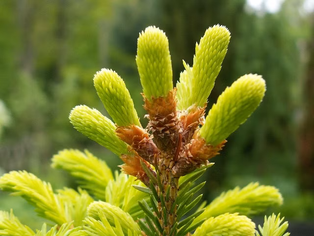 a08c4e709f949735a89f6b0e87f98fd3