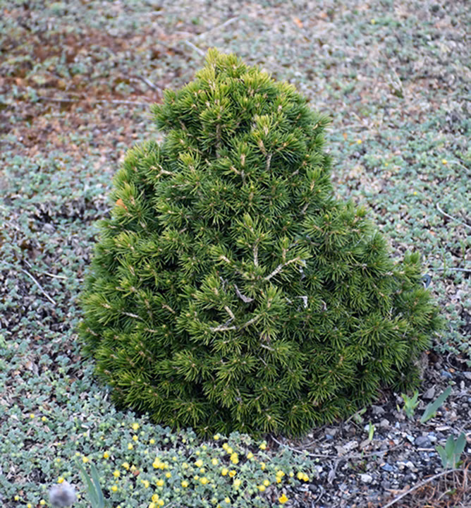 a08fb9c77b00f0ceab0a5c474e792209