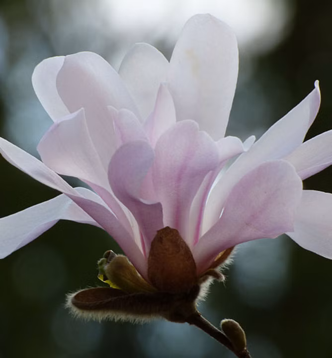 a09c49b138f3c39475b7ebfd13f1d52e