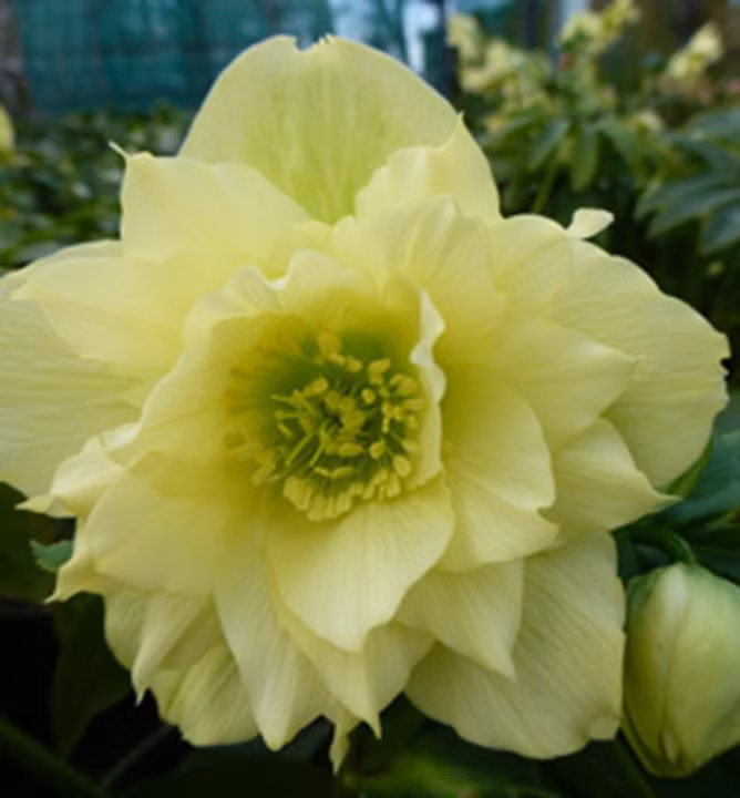 a0a1914aad03759ae79126f843cd12af