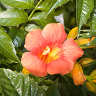 a0ba08108f783e3ff701a1c2c1c6a4d6