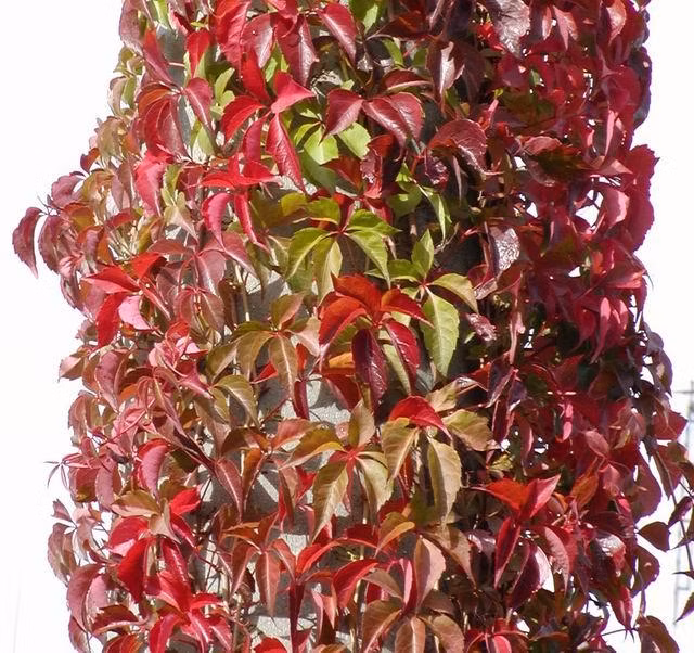 a0f26aab6aef067c393b928dd3a06f2a