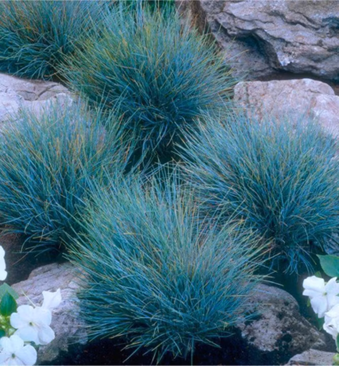 a11f24319d818cb24efb3dea65fdd62b