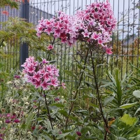 a1388e7821b08d6c92e04b53f900e129