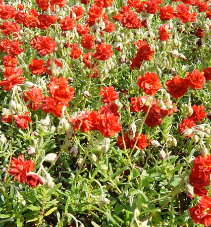 a16d2bc0c11345d0edf2c9e8ecf8d52f