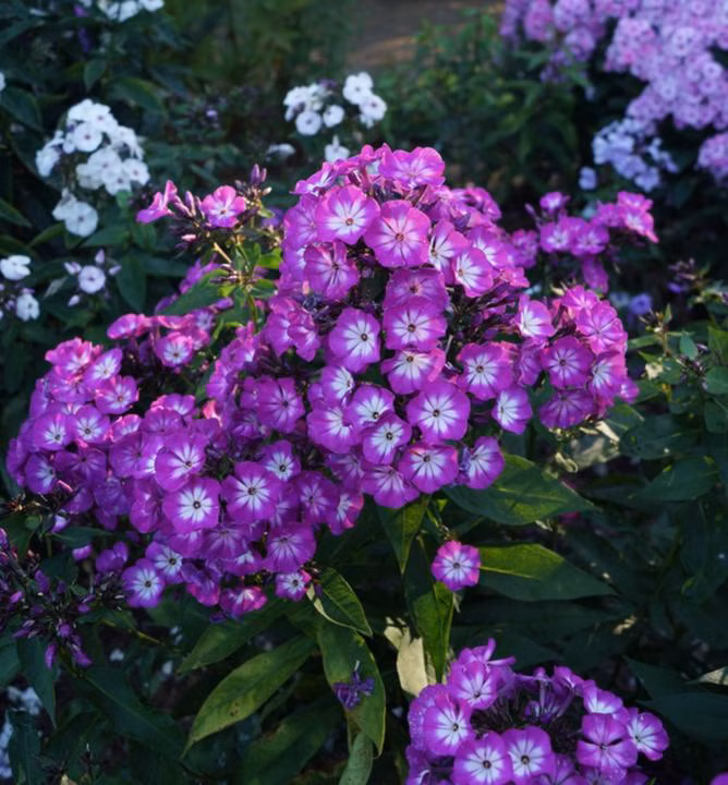 a1a42e145be0397966935d5d3d3a4bc0