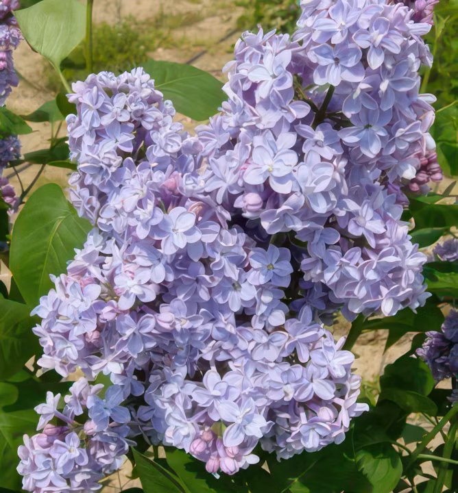 a1b632a8e3120794c1c236c1f3a5a400