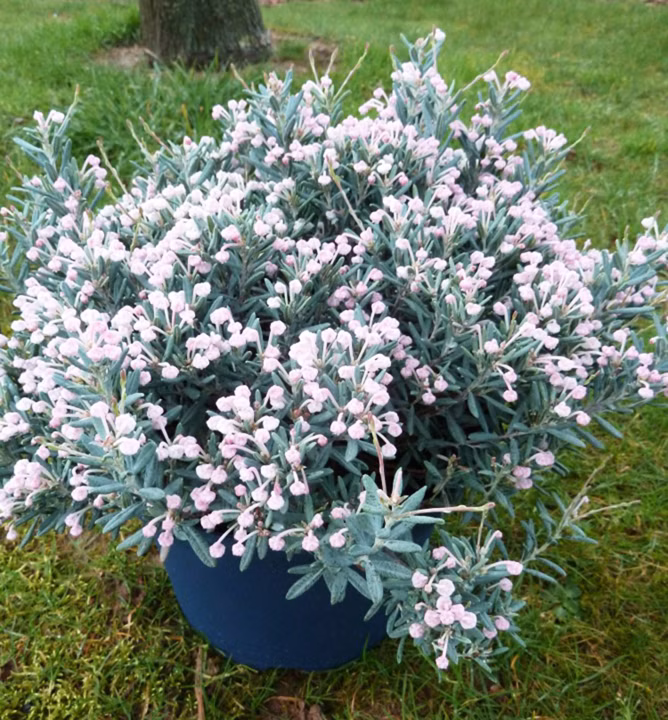 a1d52b7be4edb6782ee17ab56d42155f