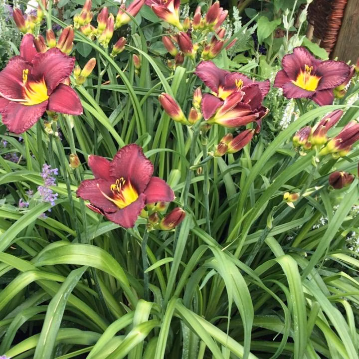 a1da870790784097cc09c616c294b024