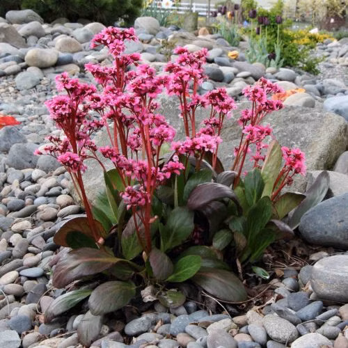 a1ecbb3bad2ea334183c5f6f2e0854de