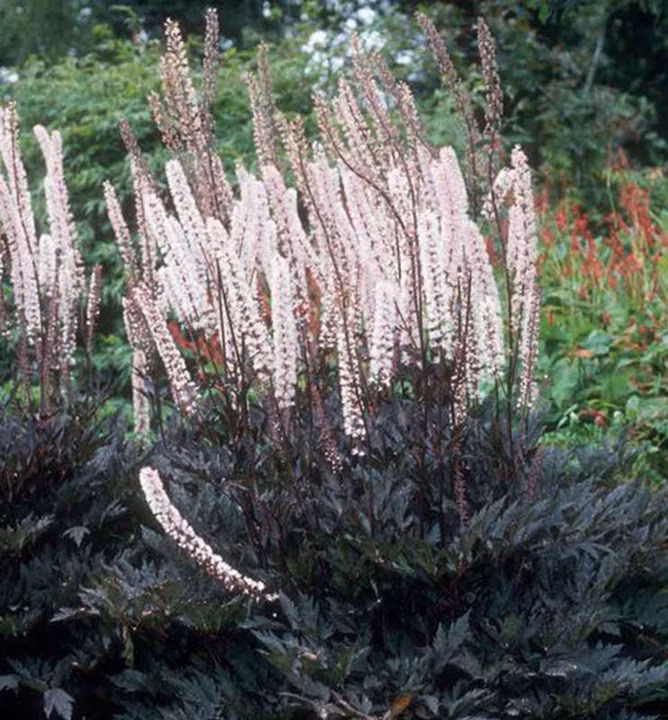 a1edc49c52afd2617ce393da688f949e