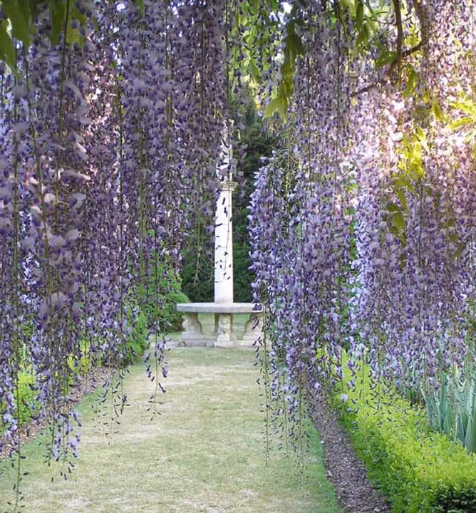 a1f408cd1f6f06a6e8356440ff3a1f54