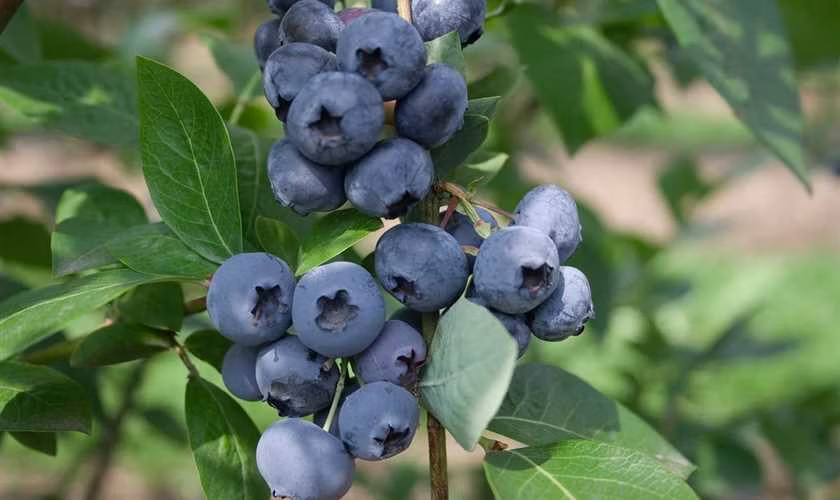 a2046ac74ac6b2644e04135d2adb98d0