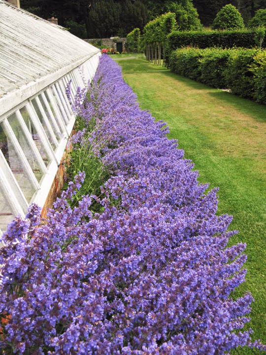 a2103ce6e98dd57d918f8ba1f8933ce4