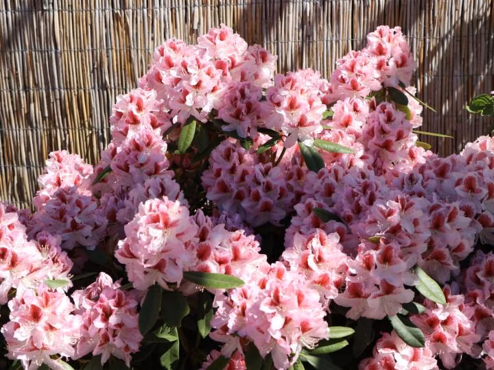 a2313f0c8e9fd26f1e58eee2c94e968f