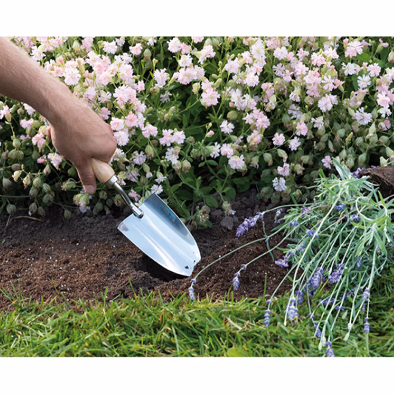 a26da0d36ccb33d2a3e80f7fa00da2eb