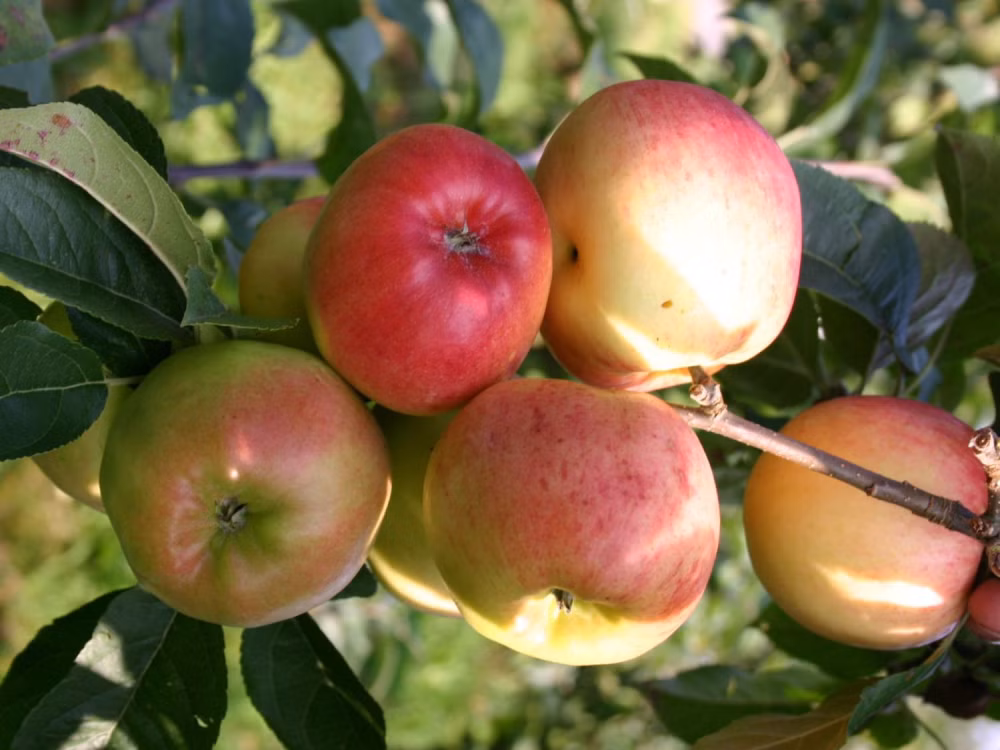 a27cbdc3f749356f155e63c82b4b49bc