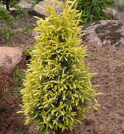 a2ca722b30f3f498939f057660636977