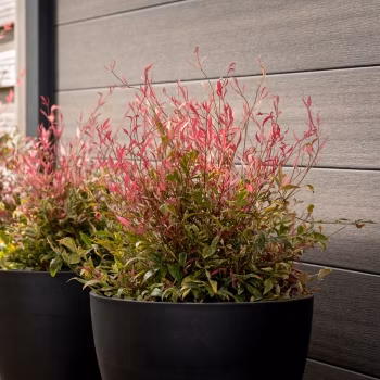 a36e9988aad4ff2b0ba461ffceb04bf9