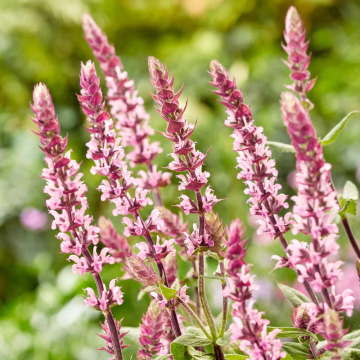 a39027a04bd66a560abdb2cc58628848