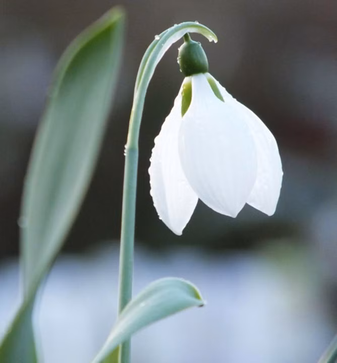 a3f7bd1426406119e2aae95d3fd03db8