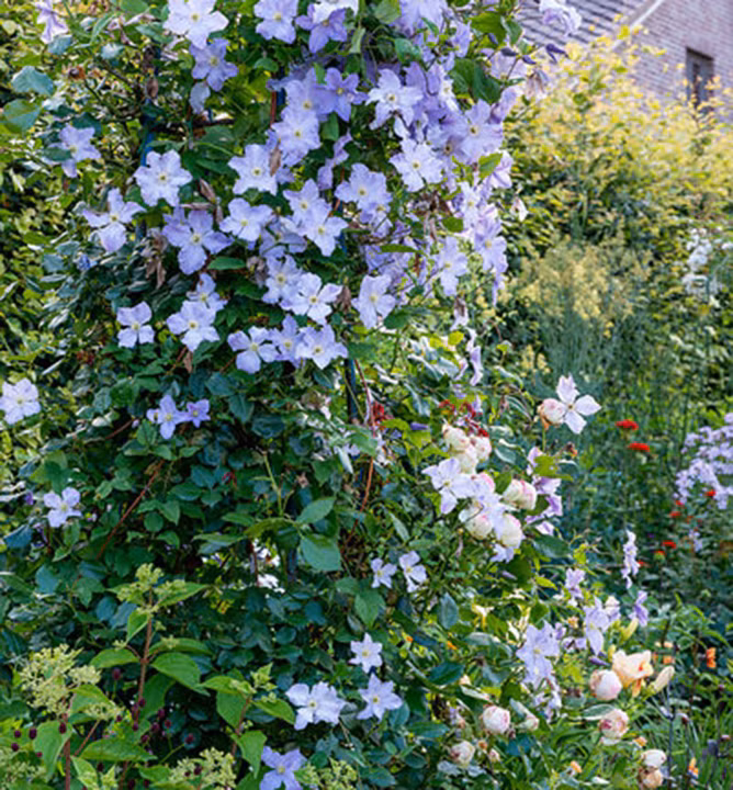 a3ff49c7f3527f946986021ac6790e9f