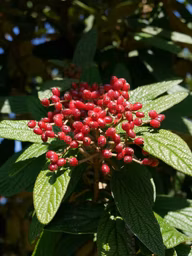 a40f5f016debb8c17decaf08e0e9de66