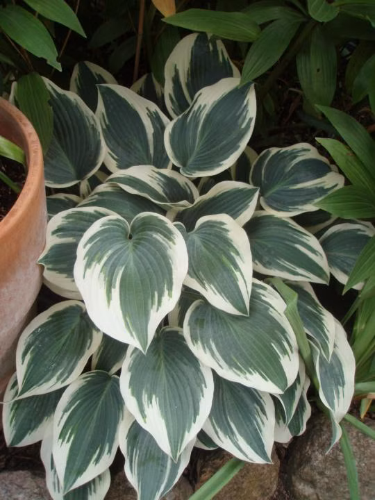 a4216d1db584edef5e4fe7bdcf9e79eb