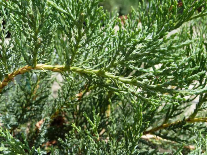 a421cb810160d92695fd8440c7a45d5c