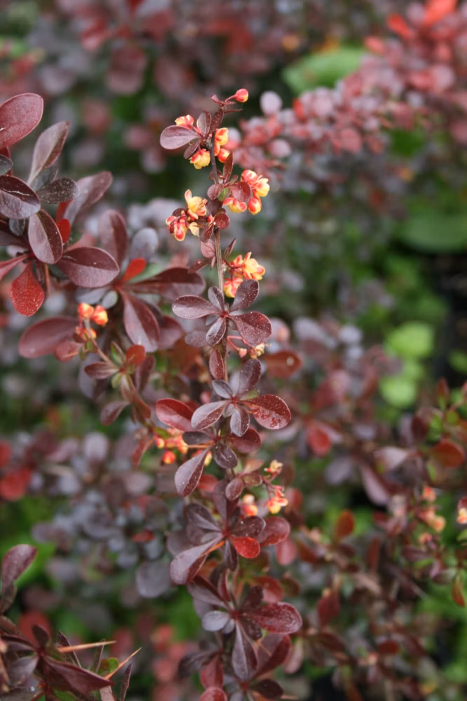 a4269d30f768341e39fb7d734f47a5b0