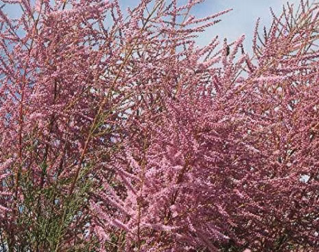 a530772da168c8b3428c79095546398f