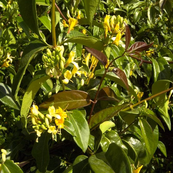 a5703085aad663dc2298e6f2bb43845d