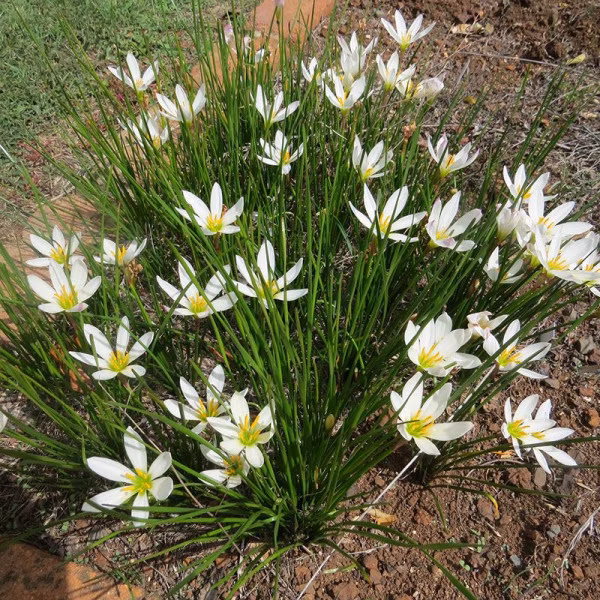 a5798eb977d18f0b8dfa030a9343ee4a