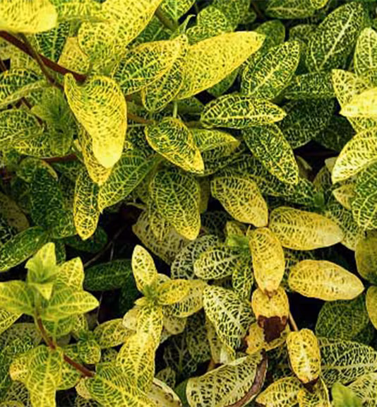 a59df3790631e5f2d509e4827c96d353