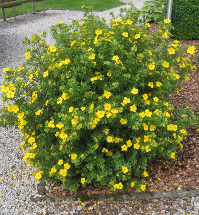 a5a0114c78c8855a3da1337977fd6197