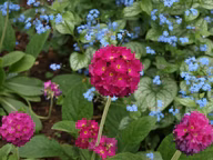 a5cb399c2891b95d3bdb25d69a017ea2