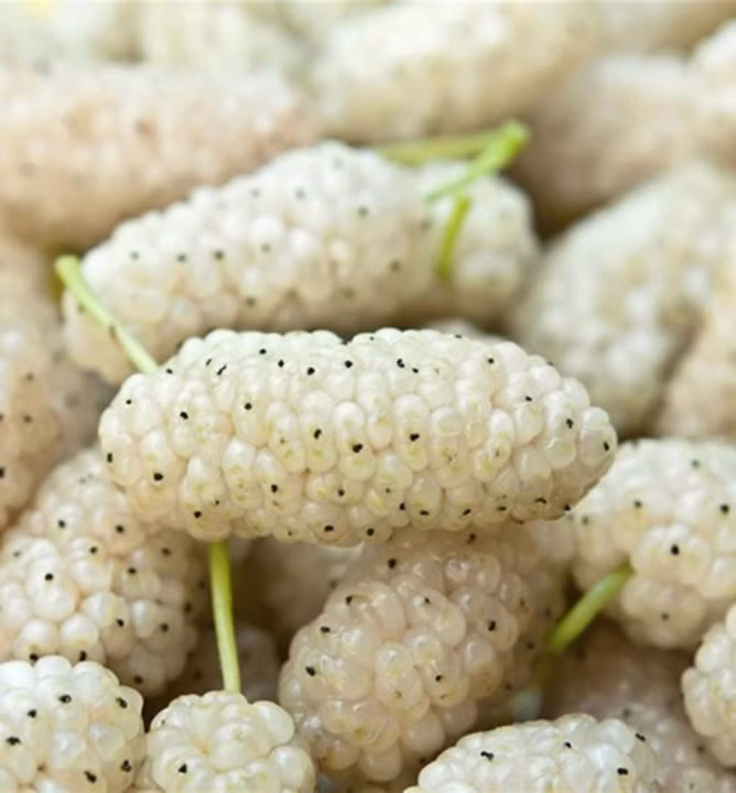 a5eb14ed5774499468b2fbb51195ad38