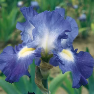 a6119f3930a6ef73d2d27c97b4db0bc8