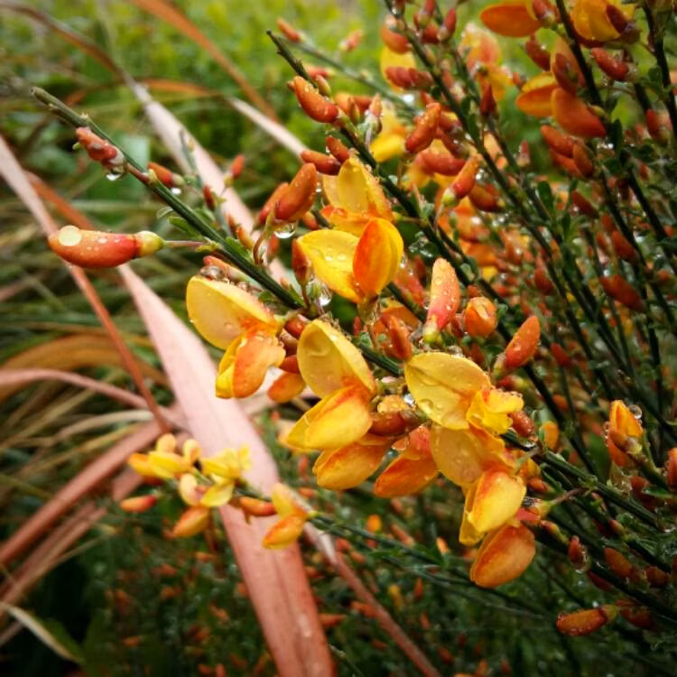 a61f271eadabbc1e9a382204b82d3b95