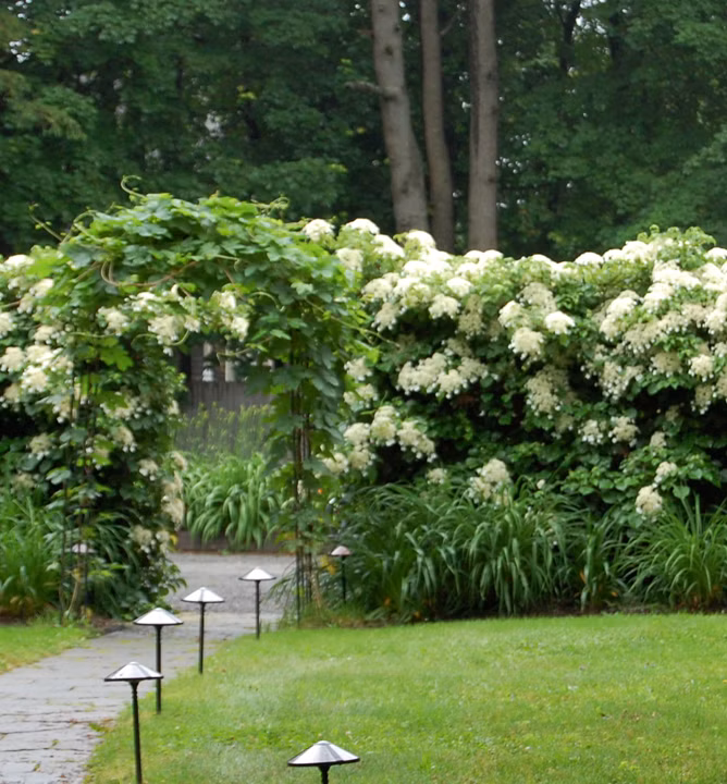 a6492c25252ba9a300f3782ce40b12b3