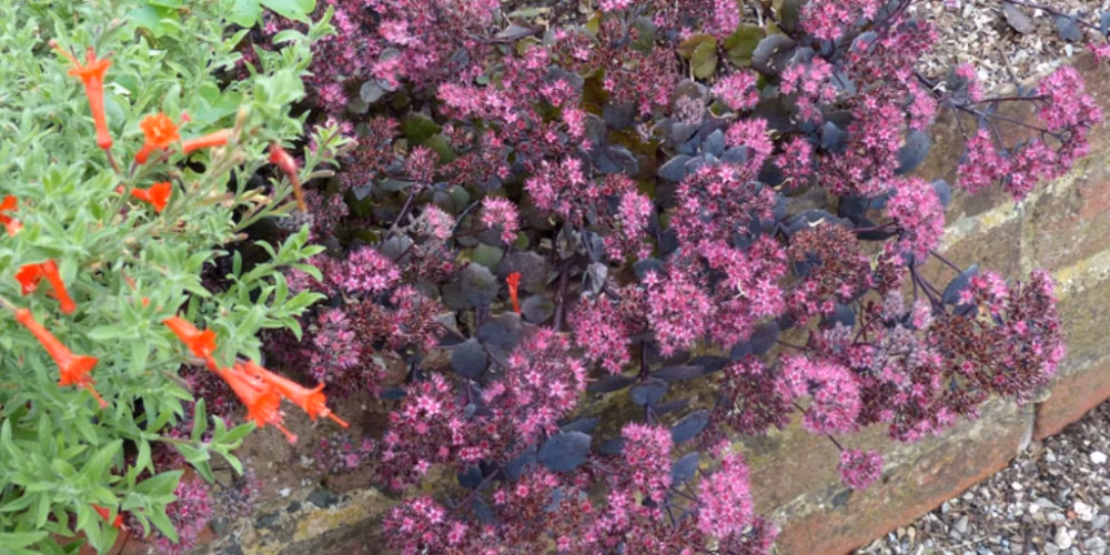 a64b74a759af3a01cd30e903aa7def42