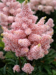 a64f3b8fd46fb8f79b5c7f7c2d513c5a