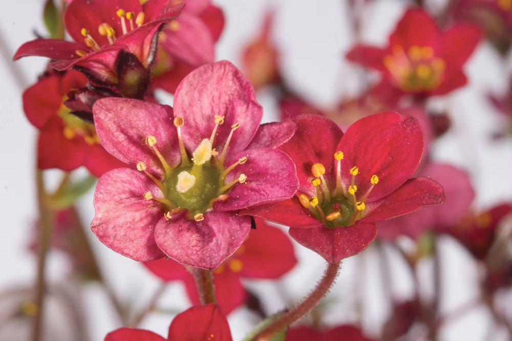 a6882ce64d2e12e5c9c4618480c30070