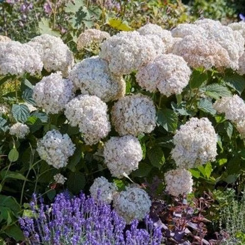 a6a0efc28b0c5f703aa59934cb03b23d