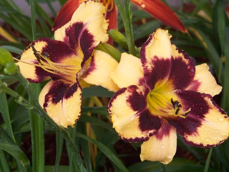 a6a8217584c42b06b215a7bcdc862540