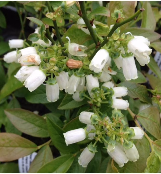 a70770119f257938b118b3102360ea37